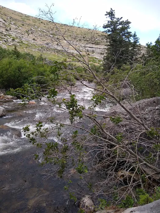 Sawmill Campground 2