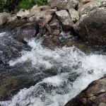 Little Popo Agie Campground