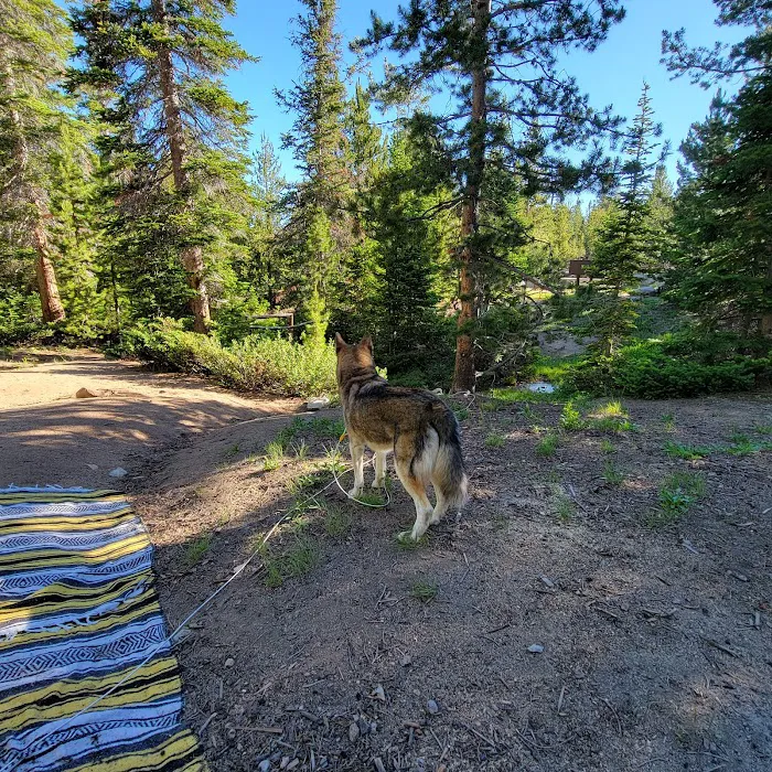 Louis Lake Campground 9
