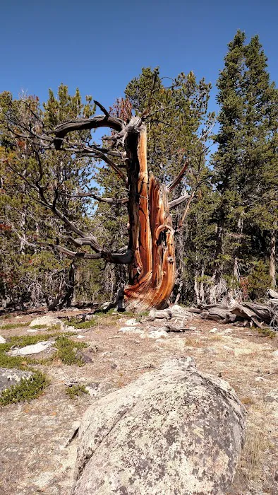 Dickinson Creek Campground 4