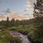 Dickinson Creek Campground