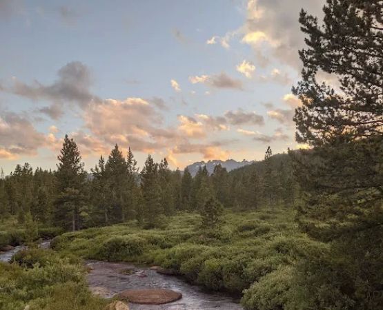 Dickinson Creek Campground