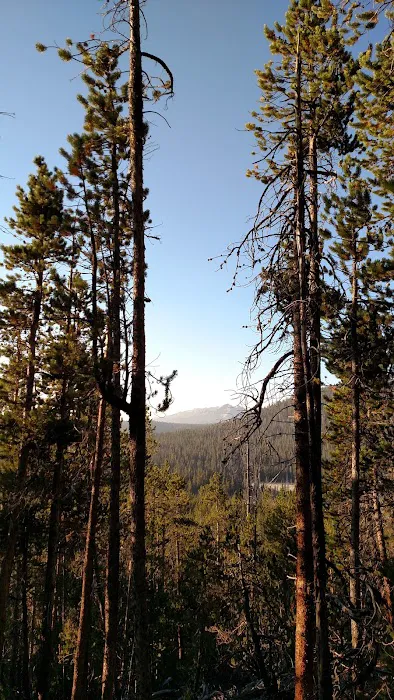 Dickinson Creek Campground 6