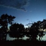 Bishops Point Campground