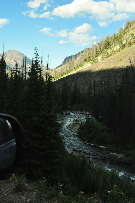 Brown Mountain Campground 1