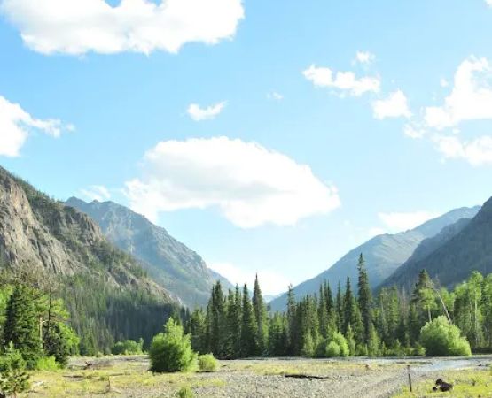 Brown Mountain Campground