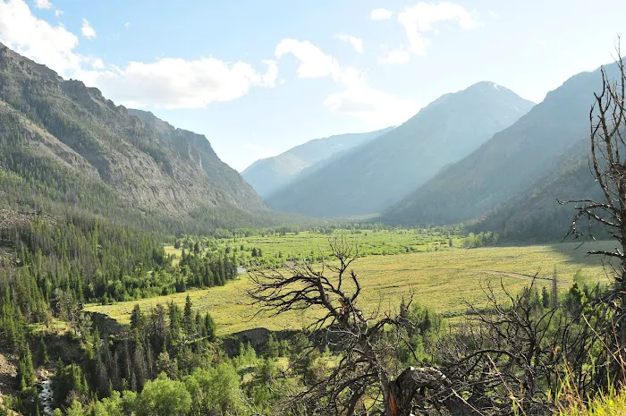 Brown Mountain Campground 3