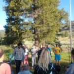 H Diamond W Youth Camp