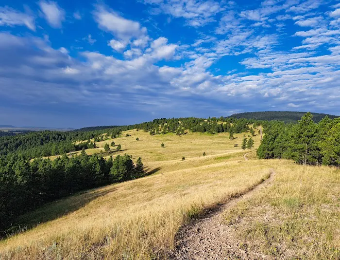 Sundance Horse Camp 6