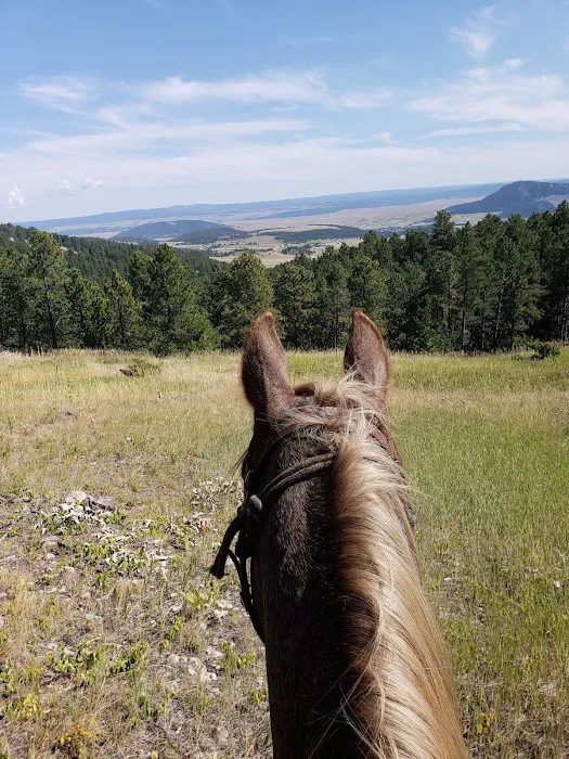 Sundance Horse Camp 4