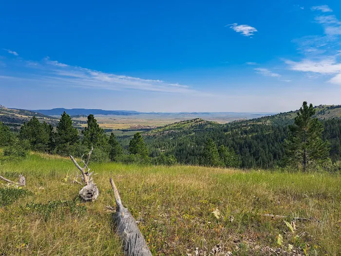 Sundance Horse Camp 7