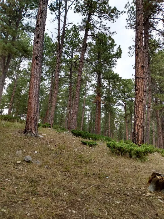 Reuter Campground 0