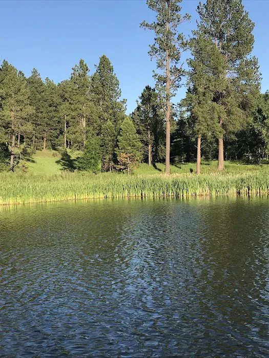 Cook Lake Recreation Area 8