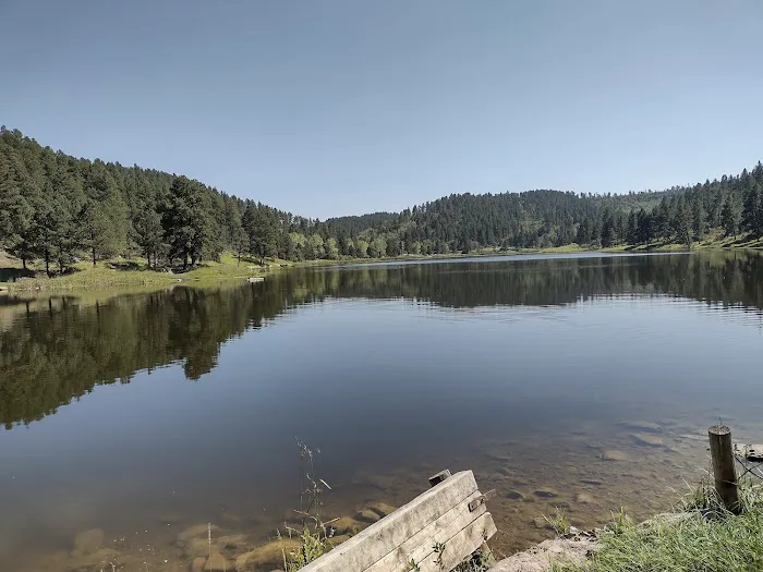 Cook Lake Recreation Area 0