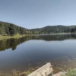 Cook Lake Recreation Area