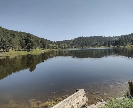 Cook Lake Recreation Area