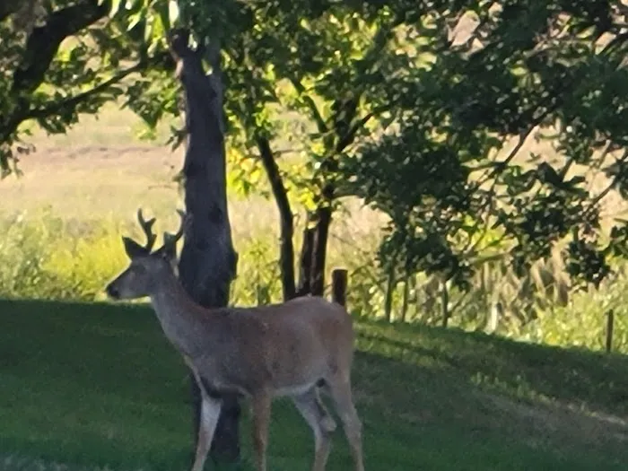 BEULAH CAMPGROUND 9