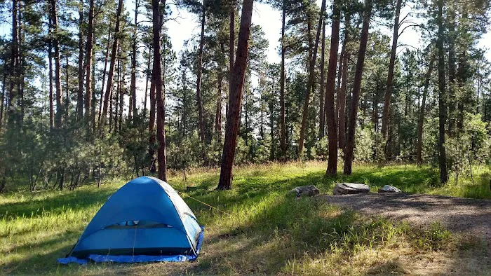 Bearlodge Campground 3