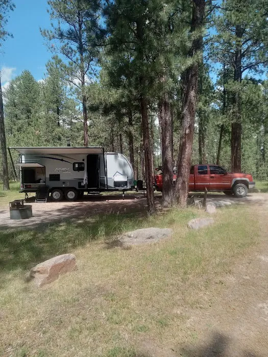 Bearlodge Campground 8