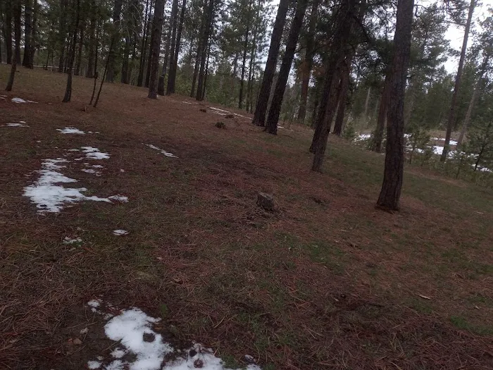 Bearlodge Campground 0