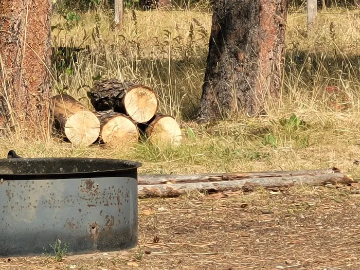 Bearlodge Campground 4