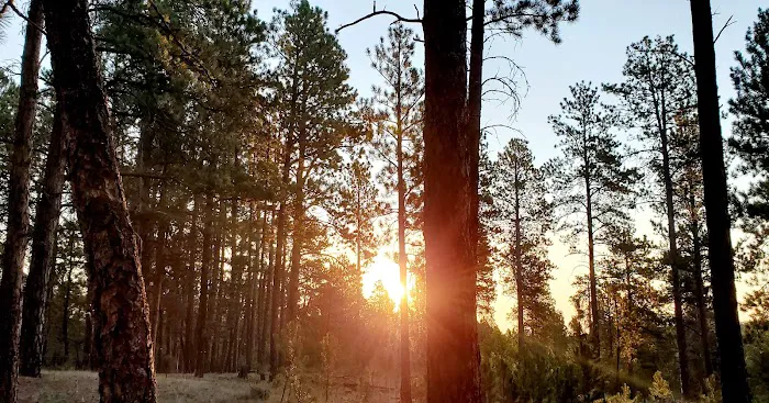 Bearlodge Campground 9