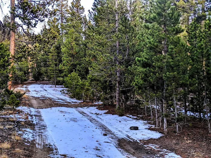 Chimney Park Scout Camp 8