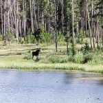 Chimney Park Scout Camp