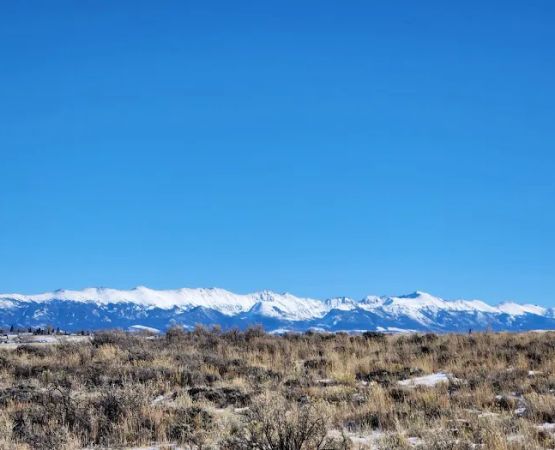 Whitewoods Outdoor Adventures