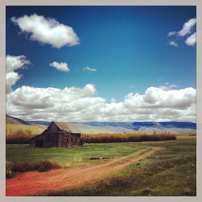 Hohnholz Lakes Campground 6