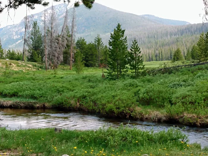 Hohnholz Lakes Campground 7