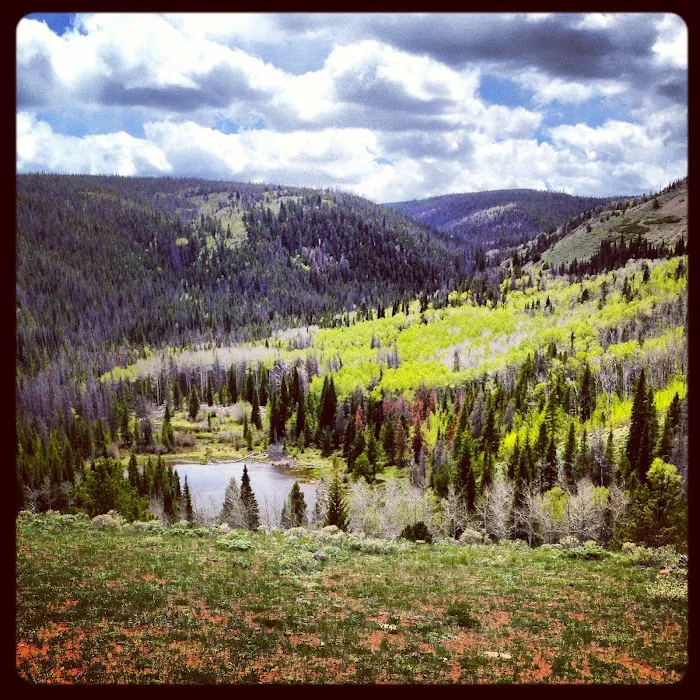 Hohnholz Lakes Campground 8