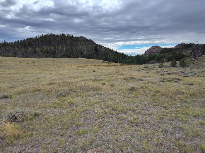Horse Campground 0