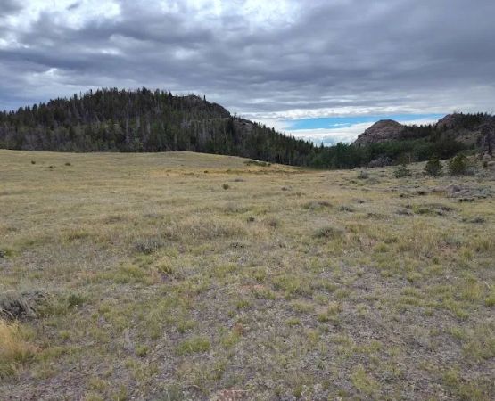 Horse Campground