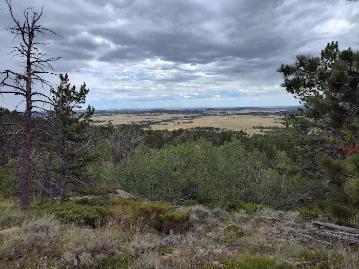 Horse Campground 2