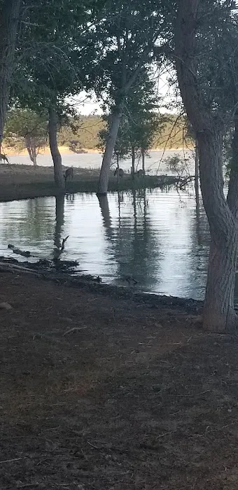 Custer Cove Campground 3