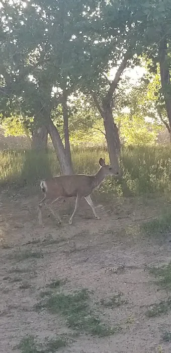 Custer Cove Campground 0