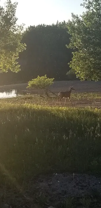 Custer Cove Campground 2