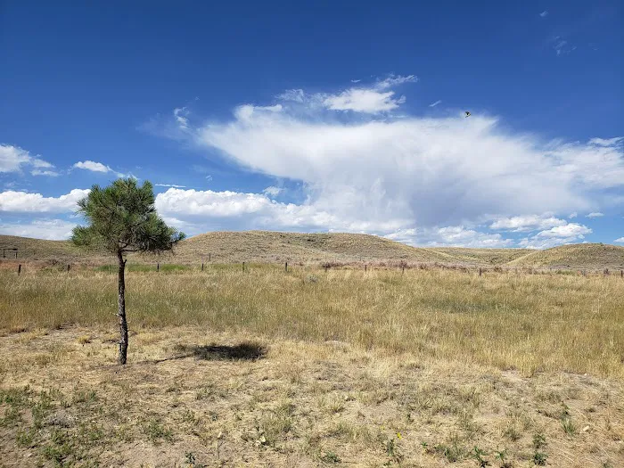 Sandy Beach Dune Campground 8