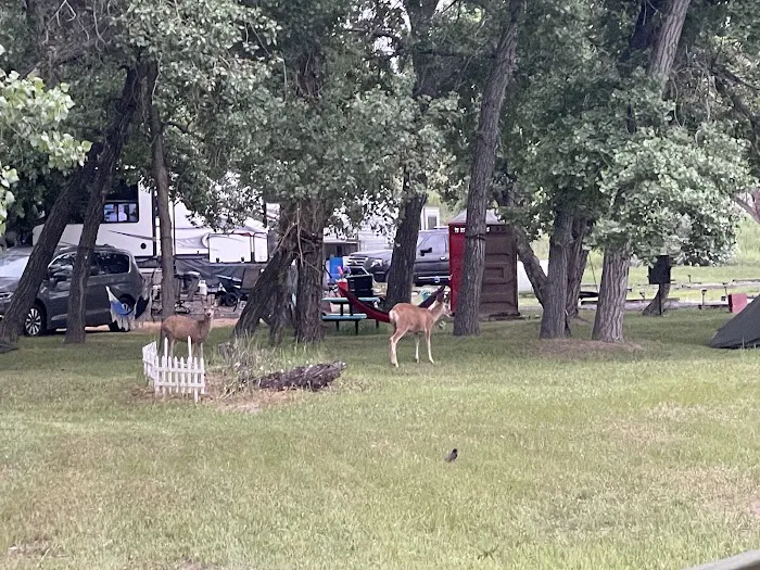 Memory Bridge Campground 1