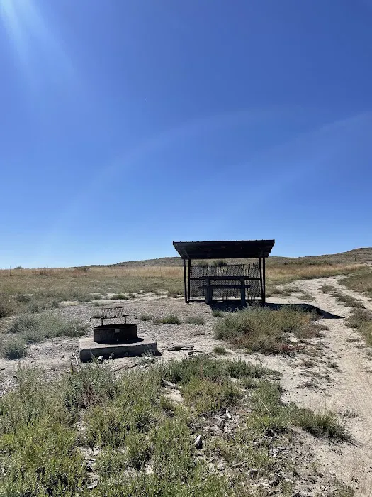 Freier Beach Campsite 5
