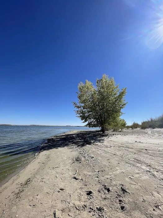 Freier Beach Campsite 6