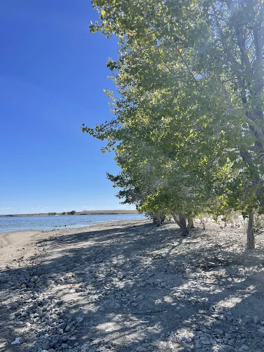 Freier Beach Campsite 1