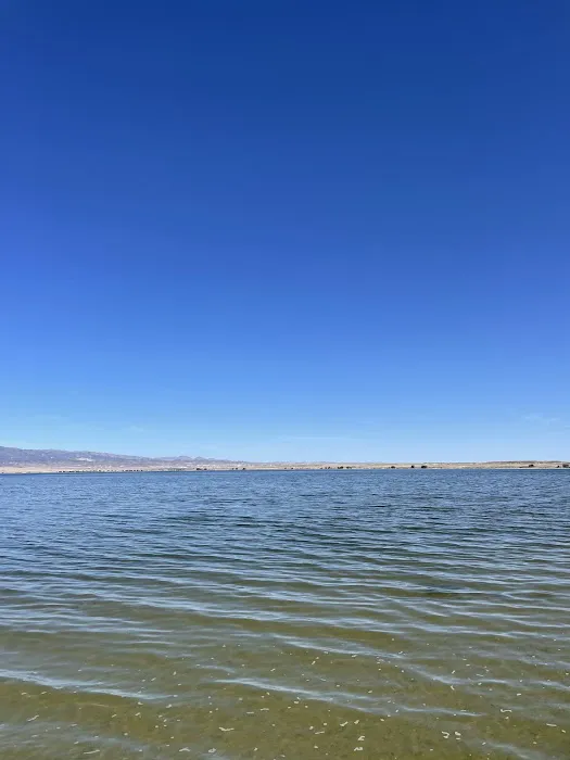 Freier Beach Campsite 4