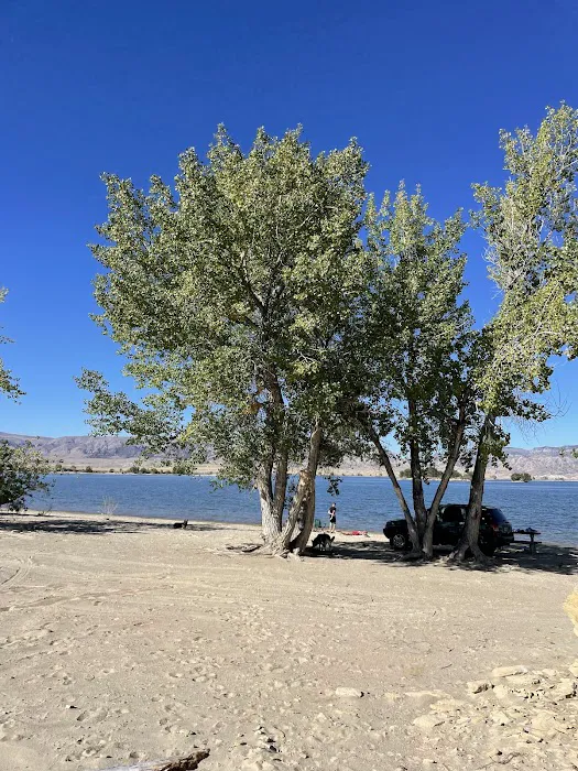 Cottonwood Campground 6