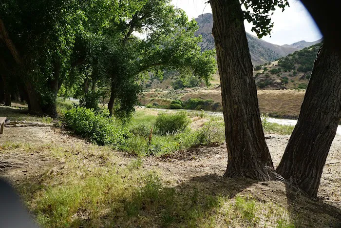 Upper Wind River Campground 0