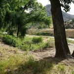 Upper Wind River Campground