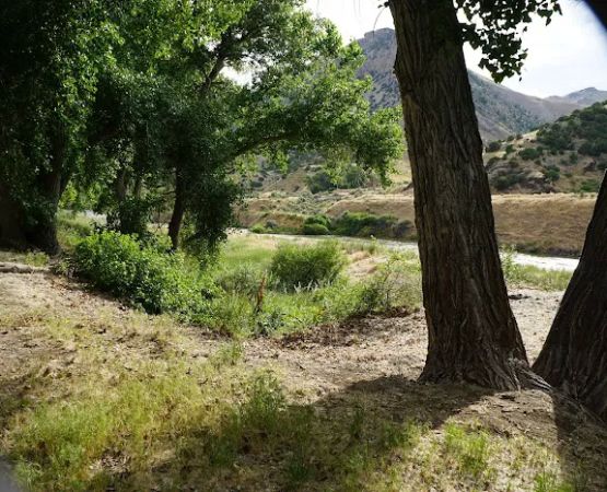 Upper Wind River Campground