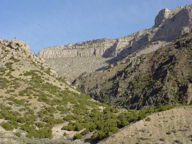 Lower Wind River Campground 6
