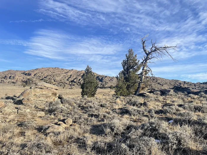 2 Campsites on BLM 4